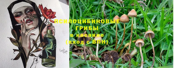 гидра Баксан