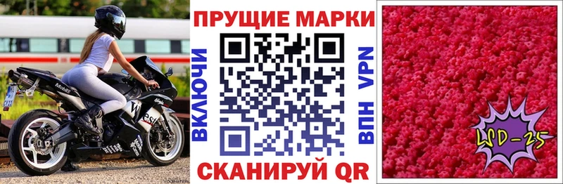 Наркотические марки 1,8мг  KRAKEN tor  Курильск 